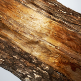 Close up shot of beautiful brown firewood
